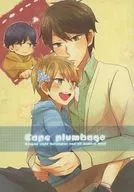 Cape plumbago / Kunako