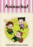 Aninachu! / Shizuru / Amusuke