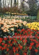 LET US CLING TOGETHER / Nobuko Hayase