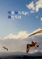 空を知らない鳥たちは / 佐々木ハレルヤ