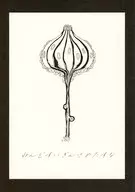 ねんどすいぎんさめたすな / キヨ