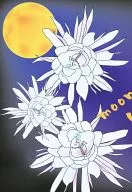 MOONLIGHTHONEY / Aki