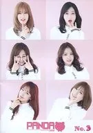 PANDA No.3 Apink Fan Club JAPAN