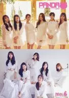 PANDA No.6 Apink Fan Club JAPAN