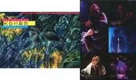 With Appendix) Gray Silver Coin Vol. 85 Dir en grey