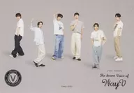 MINI VIJION THE SECRET VOICE OF WayV