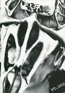 BUCK-TICK/FISH-TANK会報 002