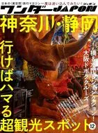 ワンダーJAPON 12