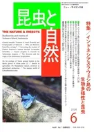 昆虫と自然 2026年6月号
