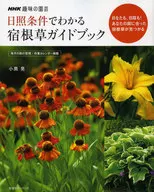 Guía de Shukunegusa que se puede encontrar en condiciones de sol