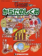 ESTRUCTURA DEL CUERPO