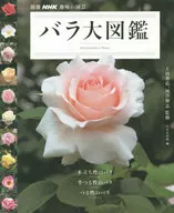 Rose Encyclopedia