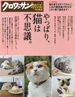 果然，猫不可思议。