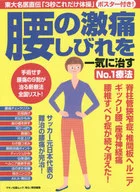 付録付)腰の激痛、しびれを一気に治すNo.1療法