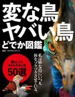 Strange Bird, Bad Bird, Wild Bird, Picture Book