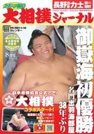 With Appendix) Sumo Journal, August 2018