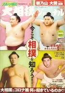 大相扑杂志2020年6月号