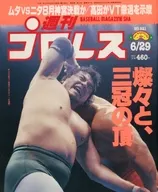 周刊职业摔跤1999年6月29日号No.921