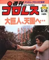 Weekly Pro Wrestling, February 16, 1993 No. 536