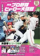 プロ野球ヒーロー大図鑑 13