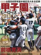 Koshien Heroes 2013