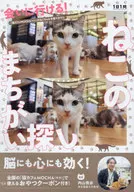 会いに行ける!ねこのまちがい探し