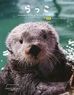 Sea-otter MARINE WORLD RACCO HISTORY