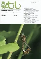 月刊むし 2026年6月号