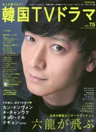 Eu quero saber mais! Korean TV Drama Vol. 75