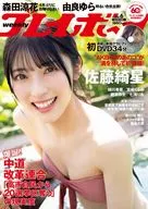 DVD付)週刊プレイボーイ 2026年2月9日号