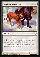[C]:訓練的卡拉卡爾餐廳/Trained Caracal
