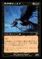 63/143 [C] : [SCG] Common buzzard / Death's-Head Buzzard