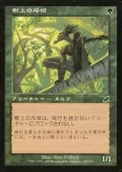 130/143 [C] : [SCG] Scout on a tree / Treetop Scout