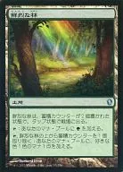 335/356 [U] : [C13] Vivid Grove / Vivid Grove