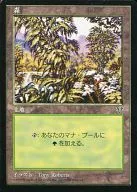 [C]:【MIR】森林/Forest