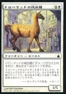 15/306 [C] : [RAV] Pure Blooded Drawmad / Dromad Purebred