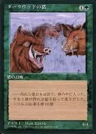 [C]:【黑框】暗木之猪/Durkwood Boars