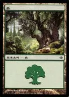 249/249 [C] : [ALA] Forest / Forest