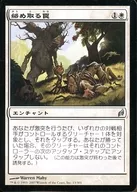 13/301 [U] : [LRW] Armadilha de Emaranhamento / Armadilha de Emaranhamento