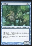 63/301 [U] : [LRW] Kyukensha / Fallowsage