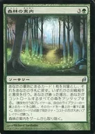 243/301 [U] : [LRW] Forest Guide/Woodland Guidance