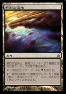 278/301 [U] : [LRW] Vivid Marsh / Vivid Marsh
