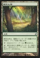 277/301 [U] : [LRW] Vivid Grove
