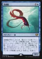 016/337[R]:【C14】浅濑虫/Reef Worm