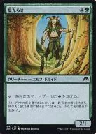 184/272[C]:葉發光/Leaf Gilder
