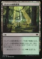 287/342[C]：【C15】ゴルガリの腐敗農場/Golgari Rot Farm