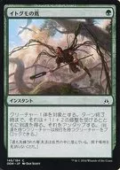 [C] : Mediterranean recluse spider no Tsuta / Vines of the Recluse