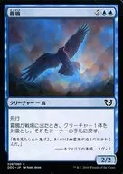 026/080 [C] : [DDQ] Kiri KARAS / Mist Raven