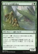 004/076 [C] : [DDR] Reading of trees in Citadel / Citanul Woodreaders