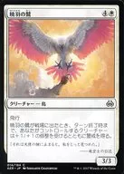 [C] : Akatsuki Wing Eagle / Dawnfeather Eagle